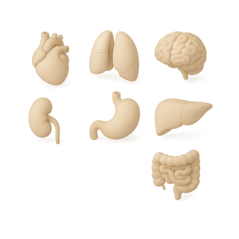 1300+ estudios a tu alcance